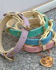 Hundehalsband leder